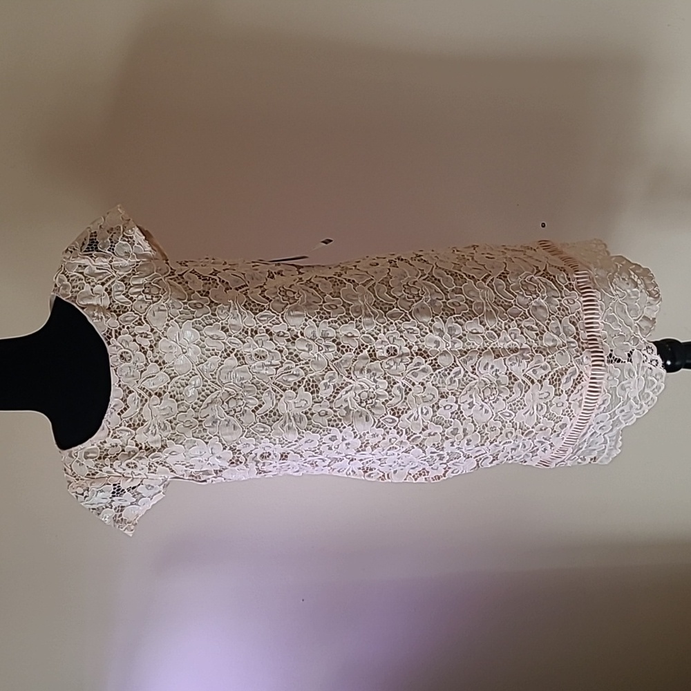 PERCEPTIONS New York Blush Nude Lace Sheath Dress Perite L nwt